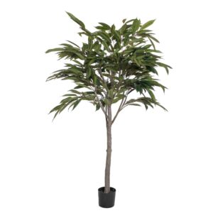 Everbloom Bambusfikus H170 cm